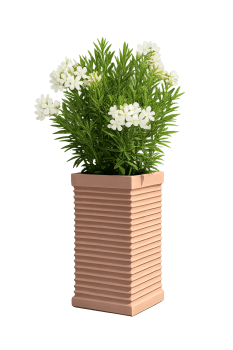 Preview: Blumenkasten aus Impruneta Terrakotta 27x27x50 cm – frostsicher, modern, nachhaltig